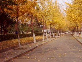 QQ截图20211130154111.png