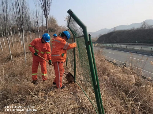 11.3及时修复隔离栅.jpg 11.3及时修复隔离栅.jpg