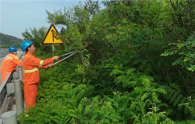 易县养护工区修剪遮挡树枝  筑牢道路安全通行防线.png