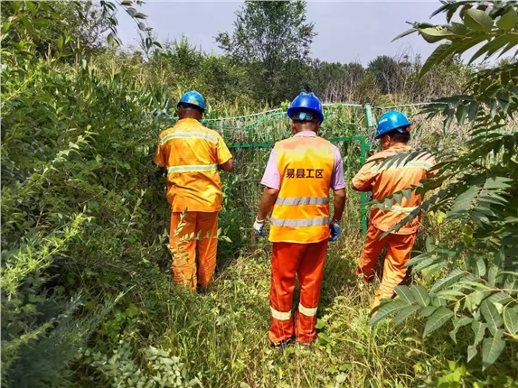 加固修复隔离栅 筑牢高速安全防护网.jpg 加固修复隔离栅 筑牢高速安全防护网.jpg