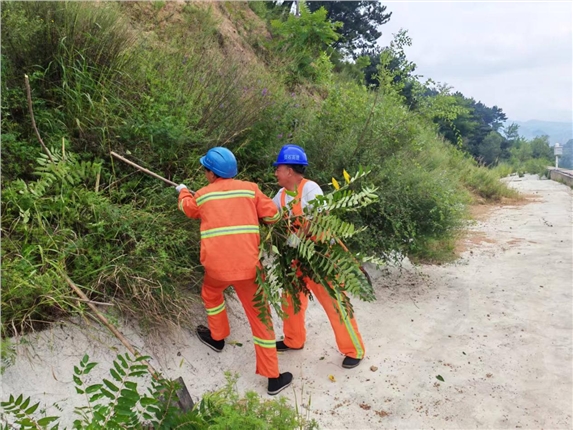 易县养护工区清理辖区护坡顶杂草杂树 筑牢道路安全防线.png 易县养护工区清理辖区护坡顶杂草杂树 筑牢道路安全防线.png